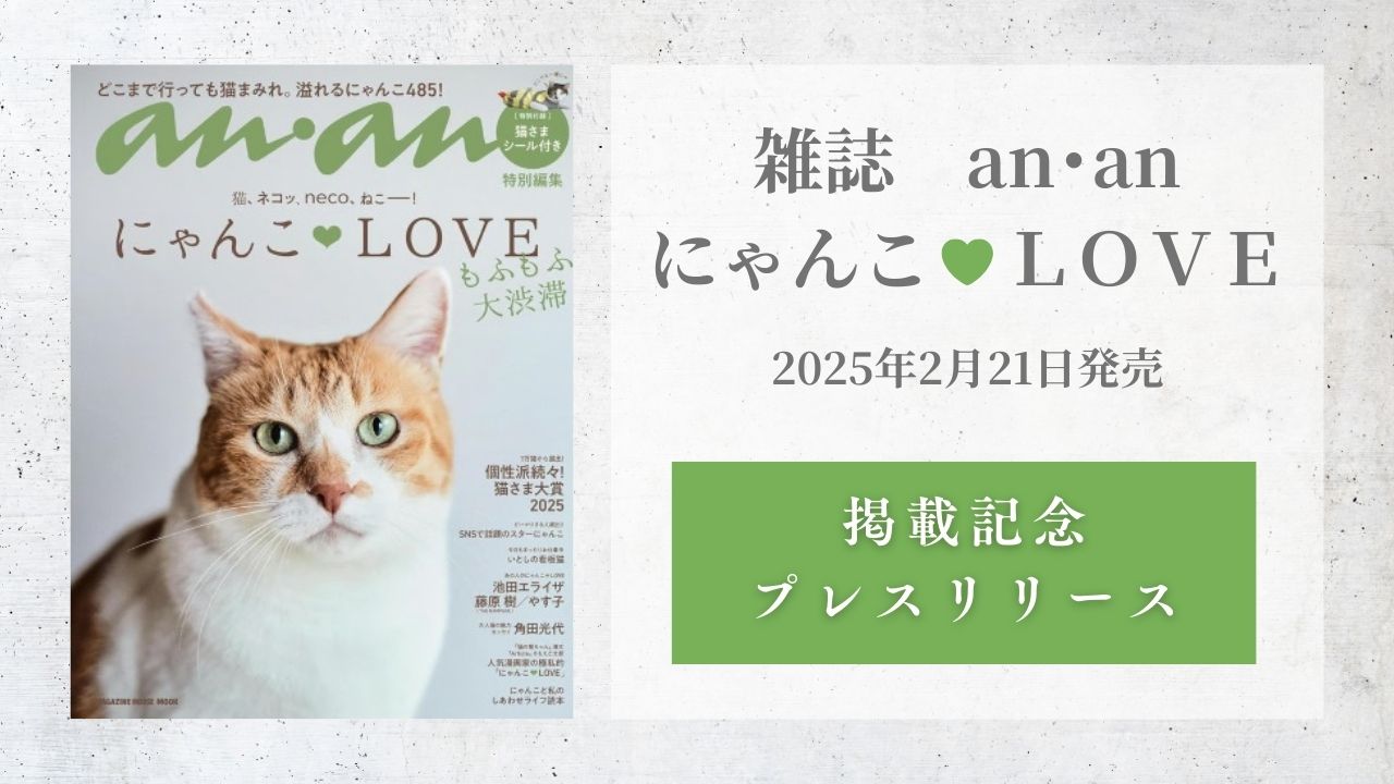 雑誌『an・an』のねこ特集「にゃんこLOVE」に「mokumeku ねこハウス